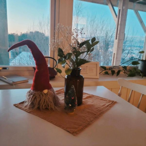 Cosy Winter Holiday Apt 200 m from ski lift
